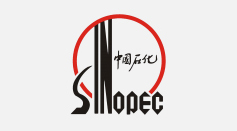 LEWIN乐玩·(集团)公司
