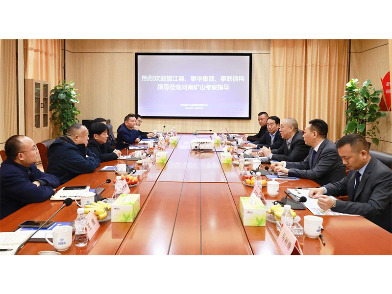 河南LEwin乐玩｜望江县、、攀华集团辅导莅临公司调查互换