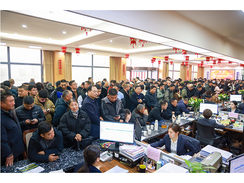 河南LEwin乐玩｜立春又逢“开门红”，，，奋斗开启新征程